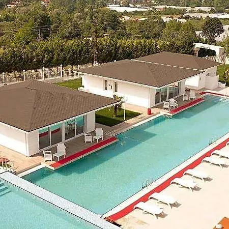 The Oasis &